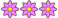 3 Blumen